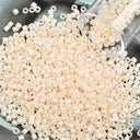 Japanese Glass Seed Beads Vibrant Versatile Assortment Set Japanese Glass Seed Beads Vibrant Versatile Assortment Set