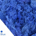 Eternal Green Moss Grass: Versatile Artificial Plant Decor Eternal Green Moss Grass: Versatile Artificial Plant Decor