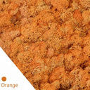 Eternal Green Moss Grass: Versatile Artificial Plant Decor Eternal Green Moss Grass: Versatile Artificial Plant Decor