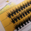 3D Mink Eyelash Clusters for Ultimate Natural Glamour 3D Mink Eyelash Clusters for Ultimate Natural Glamour