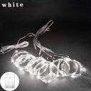 Remote-Controlled Enchanted LED Christmas Fairy Lights Remote-Controlled Enchanted LED Christmas Fairy Lights