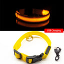 LED Dog Collar: High-Quality Fiber, Three Flash Modes LED Dog Collar: High-Quality Fiber, Three Flash Modes