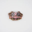 Funny Dog Squeaky Meat Seafood Toy Series for Dogs Funny Dog Squeaky Meat Seafood Toy Series for Dogs