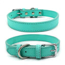Affordable Leather Pet Collar for Small Dogs and Cats Affordable Leather Pet Collar for Small Dogs and Cats