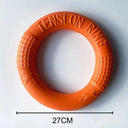 Durable Dog Toy for Active Fetch Play Durable Dog Toy for Active Fetch Play