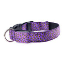 Leopard LED Dog Collar: Bright Night Safety & Visibility Leopard LED Dog Collar: Bright Night Safety & Visibility