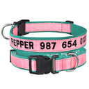Embroidered Personalized Nylon Dog Collar for All Sizes Embroidered Personalized Nylon Dog Collar for All Sizes