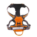 Adjustable Reflective Dog Harness Vest With Leash For Dogs Adjustable Reflective Dog Harness Vest With Leash For Dogs
