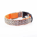 Leopard LED Dog Collar: Bright Night Safety & Visibility Leopard LED Dog Collar: Bright Night Safety & Visibility
