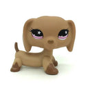 Littlest Pet Shop Dachshund Bobble Head Toys Collection Set Littlest Pet Shop Dachshund Bobble Head Toys Collection Set