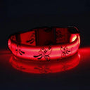LED Dog Collar: Glow-in-the-Dark Nylon Safety Collar LED Dog Collar: Glow-in-the-Dark Nylon Safety Collar