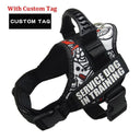 Custom Reflective Nylon Dog Harness Personalized No Pull Custom Reflective Nylon Dog Harness Personalized No Pull