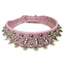 Adjustable Punk Rivet Spiked Leather Pet Collar Stylish Accessory Adjustable Punk Rivet Spiked Leather Pet Collar Stylish Accessory