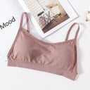 Sleek Seamless V Neck Crop Top Breathable Fitness Outfit Sleek Seamless V Neck Crop Top Breathable Fitness Outfit