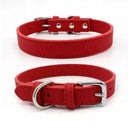 Affordable Leather Pet Collar for Small Dogs and Cats Affordable Leather Pet Collar for Small Dogs and Cats