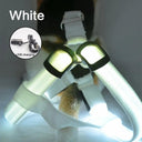 Luminous LED Dog Harness for Night Safety and Running Luminous LED Dog Harness for Night Safety and Running