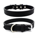 Affordable Comfort Leather Pet Collar for Small Dogs & Cats Affordable Comfort Leather Pet Collar for Small Dogs & Cats