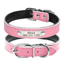 Leather Personalized Cat Collar Adjustable Free Engraving Leather Personalized Cat Collar Adjustable Free Engraving