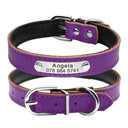 Leather Personalized Cat Collar Adjustable Free Engraving Leather Personalized Cat Collar Adjustable Free Engraving