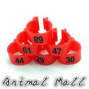 Colorful Bird Foot Rings For Pigeons And Parrots Durable Colorful Bird Foot Rings For Pigeons And Parrots Durable