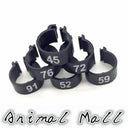 Colorful Bird Foot Rings for Pigeons and Parrots Durable Colorful Bird Foot Rings for Pigeons and Parrots Durable