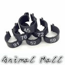 Colorful Bird Foot Rings For Pigeons And Parrots Durable Colorful Bird Foot Rings For Pigeons And Parrots Durable