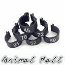 Colorful Bird Foot Rings For Pigeons And Parrots Durable Colorful Bird Foot Rings For Pigeons And Parrots Durable