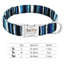 Personalized Reflective Nylon Dog Collar for All Dog Sizes Personalized Reflective Nylon Dog Collar for All Dog Sizes