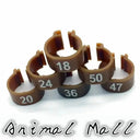 Colorful Bird Foot Rings For Pigeons And Parrots Durable Colorful Bird Foot Rings For Pigeons And Parrots Durable