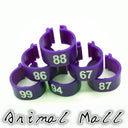 Colorful Bird Foot Rings for Pigeons and Parrots Durable Colorful Bird Foot Rings for Pigeons and Parrots Durable