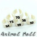 Colorful Bird Foot Rings For Pigeons And Parrots Durable Colorful Bird Foot Rings For Pigeons And Parrots Durable