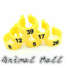 Colorful Bird Foot Rings for Pigeons and Parrots Durable Colorful Bird Foot Rings for Pigeons and Parrots Durable