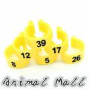 Colorful Bird Foot Rings For Pigeons And Parrots Durable Colorful Bird Foot Rings For Pigeons And Parrots Durable