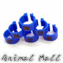Colorful Bird Foot Rings For Pigeons And Parrots Durable Colorful Bird Foot Rings For Pigeons And Parrots Durable