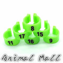 Colorful Bird Foot Rings For Pigeons And Parrots Durable Colorful Bird Foot Rings For Pigeons And Parrots Durable