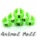 Colorful Bird Foot Rings For Pigeons And Parrots Durable Colorful Bird Foot Rings For Pigeons And Parrots Durable