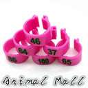 Colorful Bird Foot Rings For Pigeons And Parrots Durable Colorful Bird Foot Rings For Pigeons And Parrots Durable