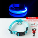LED Dog Collar: High-Quality Fiber, Three Flash Modes LED Dog Collar: High-Quality Fiber, Three Flash Modes