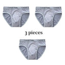 Fungi-Proof Silk Men Briefs for Comfort Fungi-Proof Silk Men Briefs for Comfort