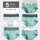 All-Day Comfort Shapewear Panties 5Pcs All-Day Comfort Shapewear Panties 5Pcs