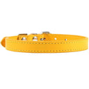 Colorful Leather Pet Collar Custom Padded Quick Release Colorful Leather Pet Collar Custom Padded Quick Release