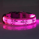 LED Dog Collar: Glow-in-the-Dark Nylon Safety Collar LED Dog Collar: Glow-in-the-Dark Nylon Safety Collar