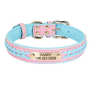 Personalized Leather Padded Dog Collar with Free Engraving Personalized Leather Padded Dog Collar with Free Engraving