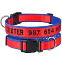 Embroidered Personalized Nylon Dog Collar for All Sizes Embroidered Personalized Nylon Dog Collar for All Sizes