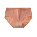 All-Day Comfort Lingerie Briefs for Her All-Day Comfort Lingerie Briefs for Her
