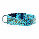 Leopard LED Dog Collar: Bright Night Safety & Visibility Leopard LED Dog Collar: Bright Night Safety & Visibility