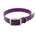 Nylon Dog Collar & TPU Leash Set Stylish Waterproof Colors Nylon Dog Collar & TPU Leash Set Stylish Waterproof Colors