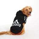 Winter Dog Adidog Sport Hoodies For Stylish Warm Pets Winter Dog Adidog Sport Hoodies For Stylish Warm Pets