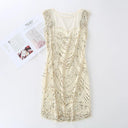 Elegant Sequins Mesh Dress Retro Style for Fashionistas Elegant Sequins Mesh Dress Retro Style for Fashionistas