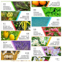 Luminous Ultrasonic Aromatherapy Rain Cloud Night Light Luminous Ultrasonic Aromatherapy Rain Cloud Night Light